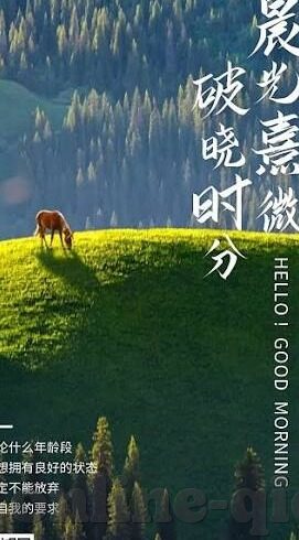 91麻豆视频免费-91麻豆视频免费，打造无拘无束的观影新体验