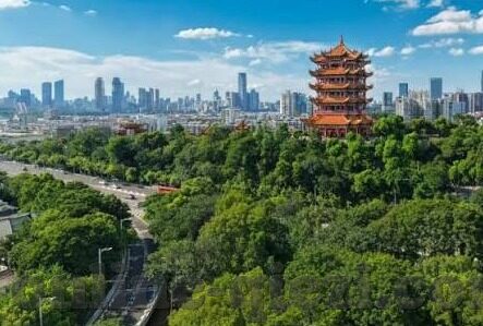 快猫视频回家导航麻豆-找回失落的时光，快猫视频与麻豆共同编织的回家导航