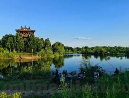 糖心app软件怎么下载-轻松驾驭科技新风尚，糖心APP下载指南